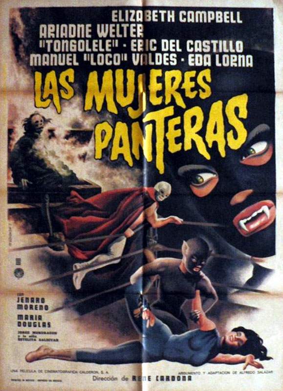 MUJERES PANTERAS, LAS